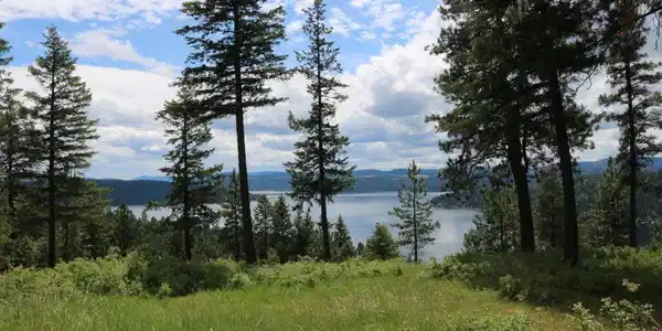 Image 2: Breathtaking Lake Views