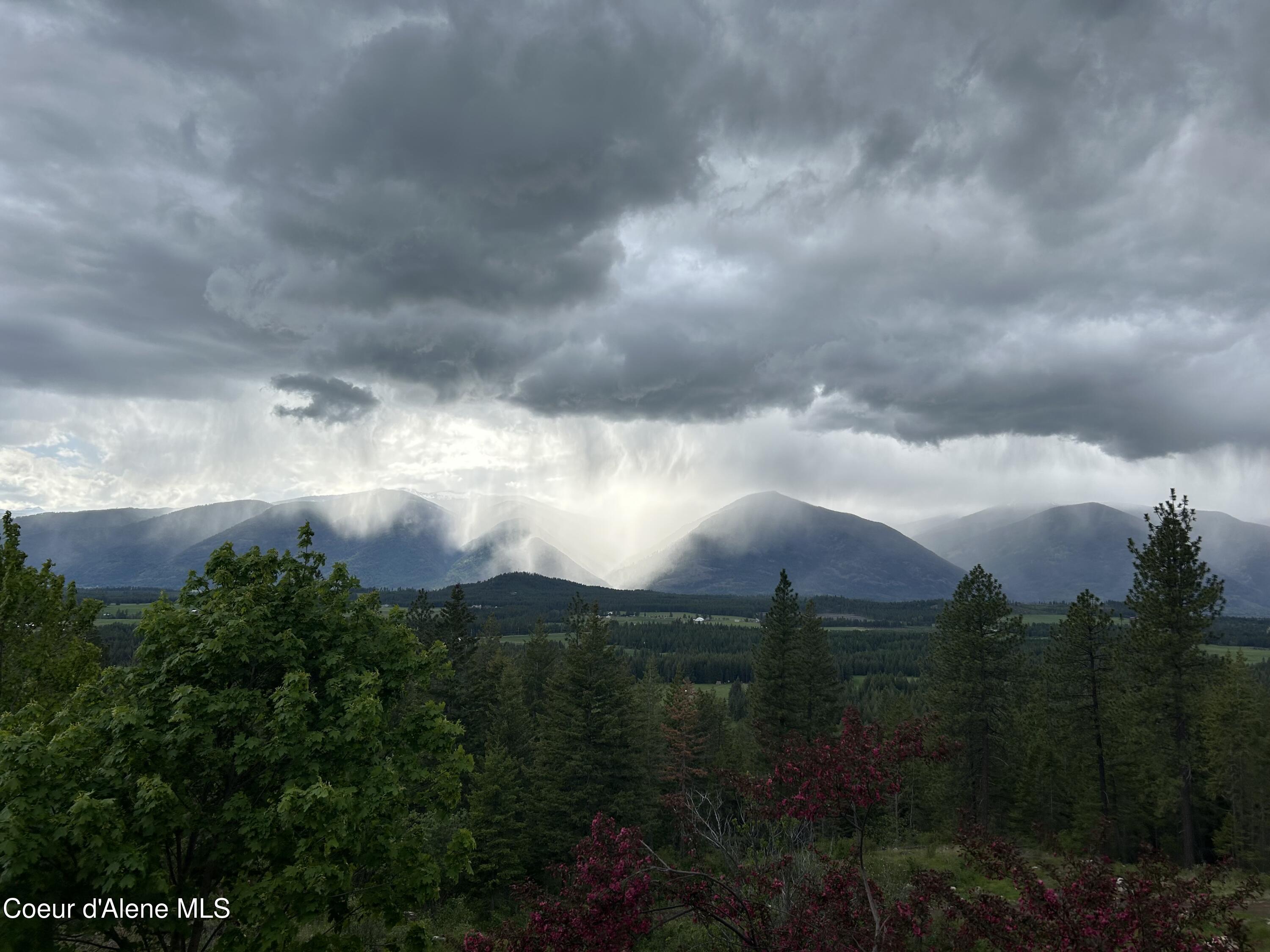 Image 4: Rain