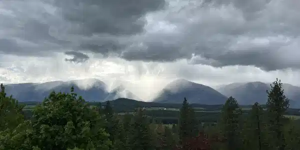 Image 4: Rain