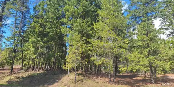 NNA Parkland Dr