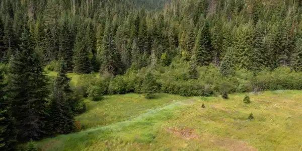 Image 4: DJI_0837-HDR-40