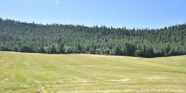 LOT 4 Pebblestone Dr