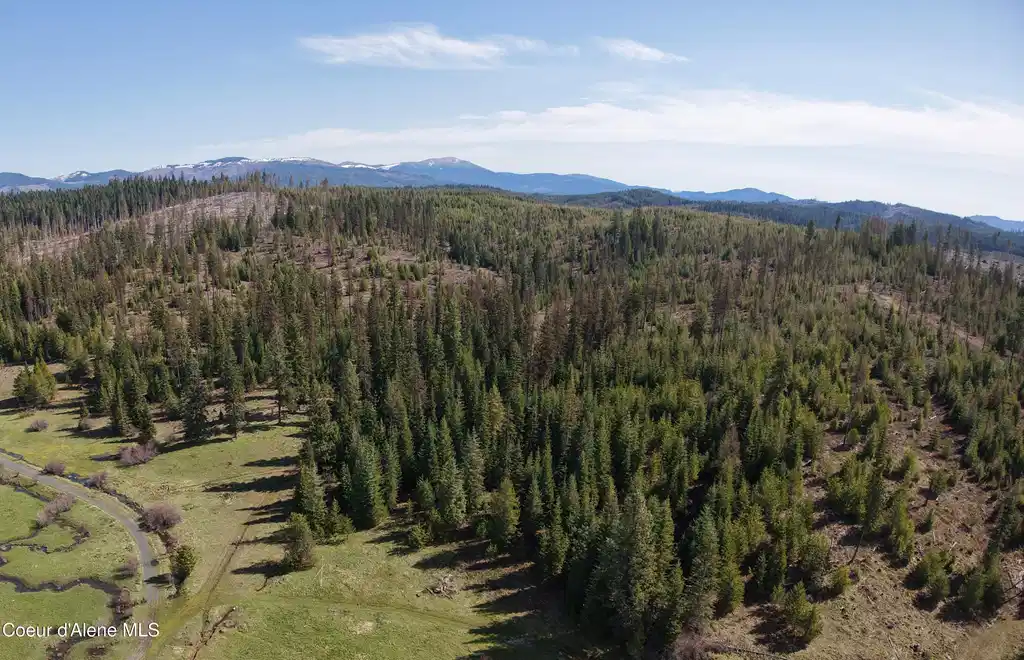 Image 1: 100 acres in Elk River