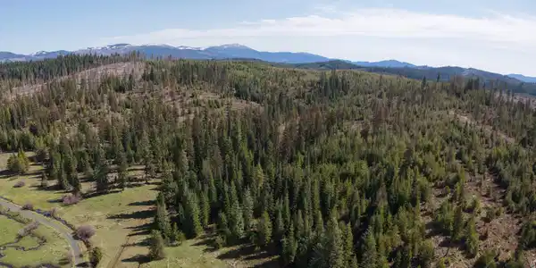 NKA Park Road 100 acres