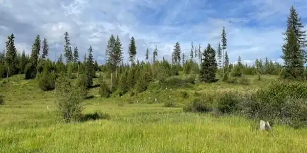 Image 2: Open view