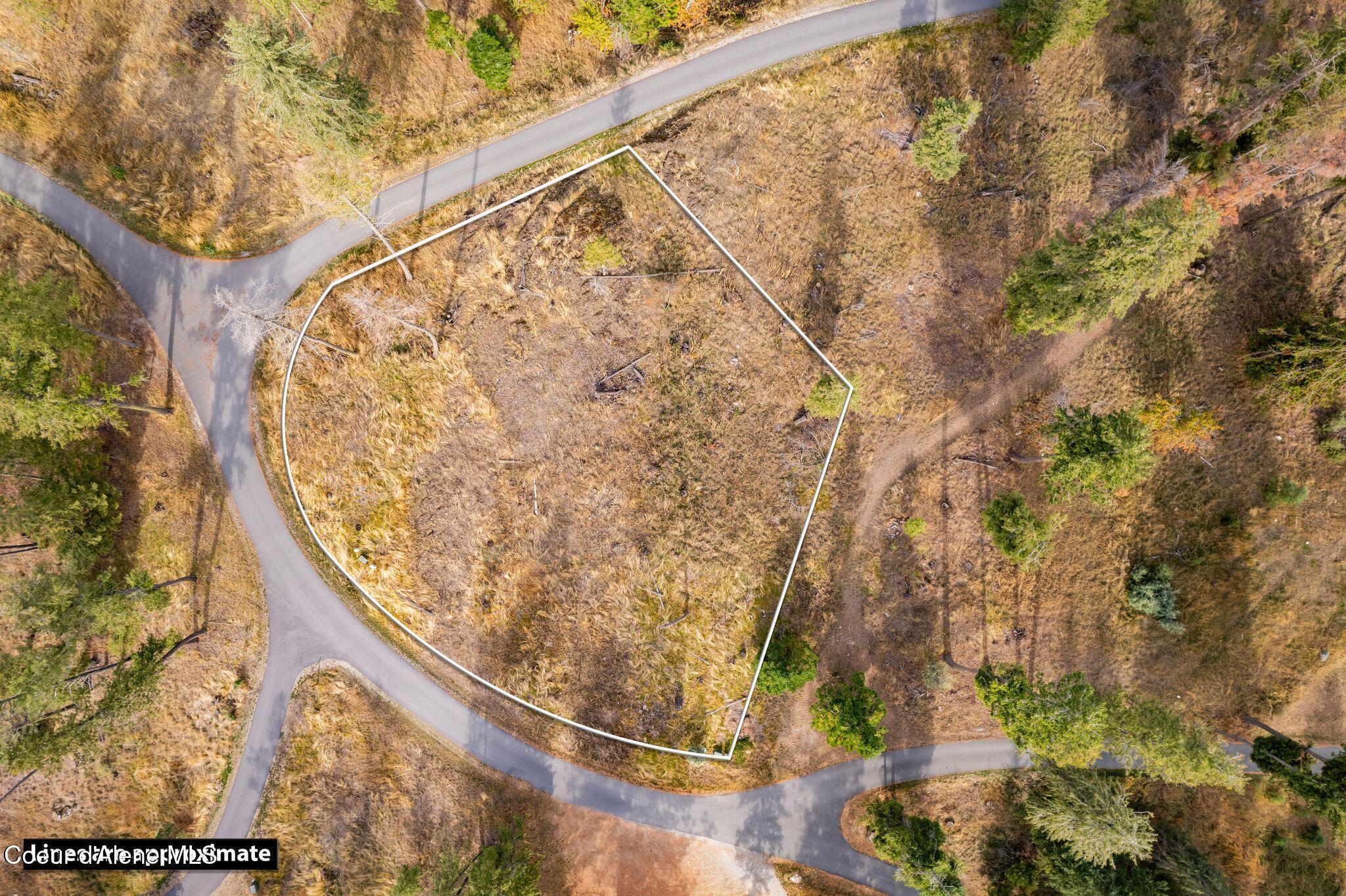 Image 4: DJI_0129 copy