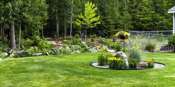 Image 3: Landscaping