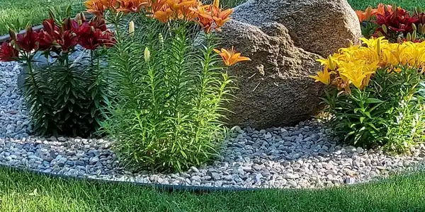 Image 4: Landscaping