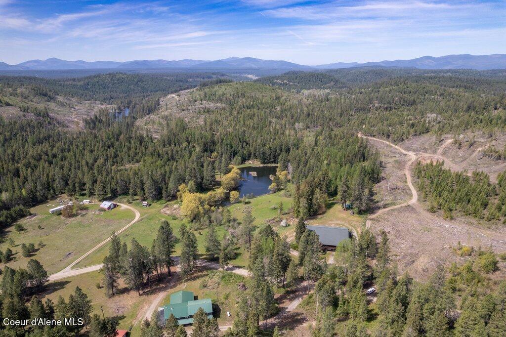 Image 4: Aerial