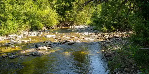 Image 2: Grouse Creek
