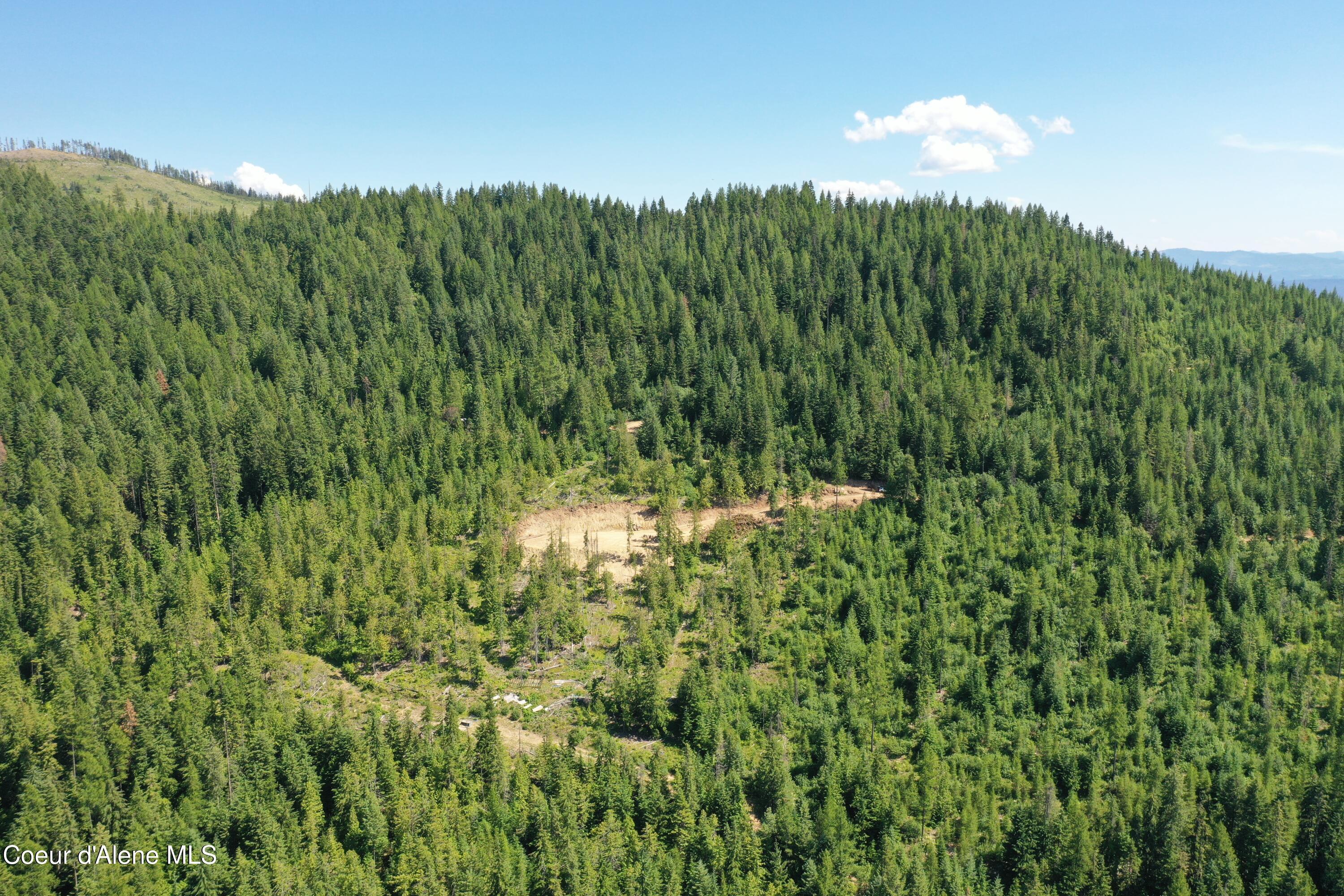 Image 4: DJI_0870