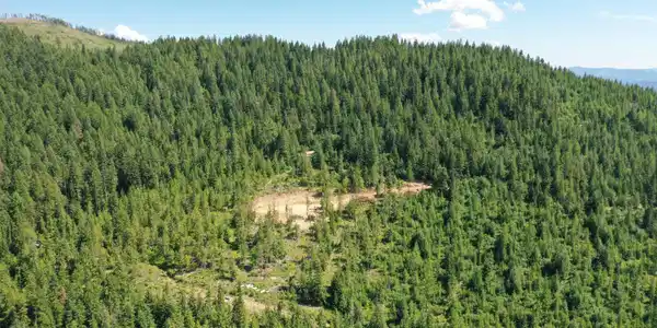 Image 4: DJI_0870