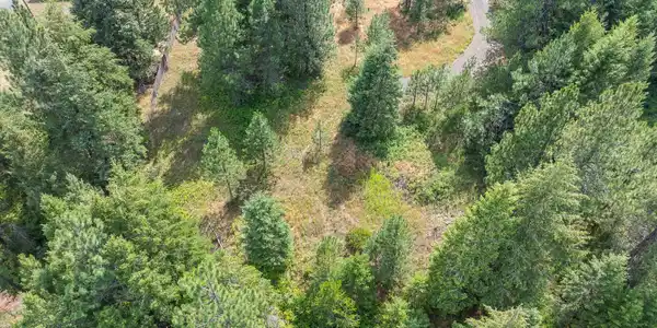 Image 2: Aerial_ForestViewLnLot-5