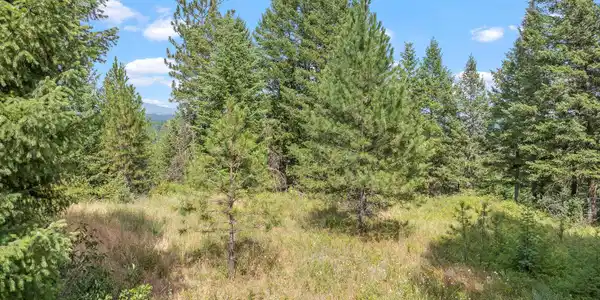Image 3: Aerial_ForestViewLnLot-8