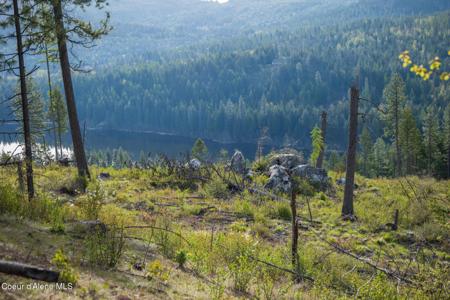 Lot 1 Dollar Creek Dr