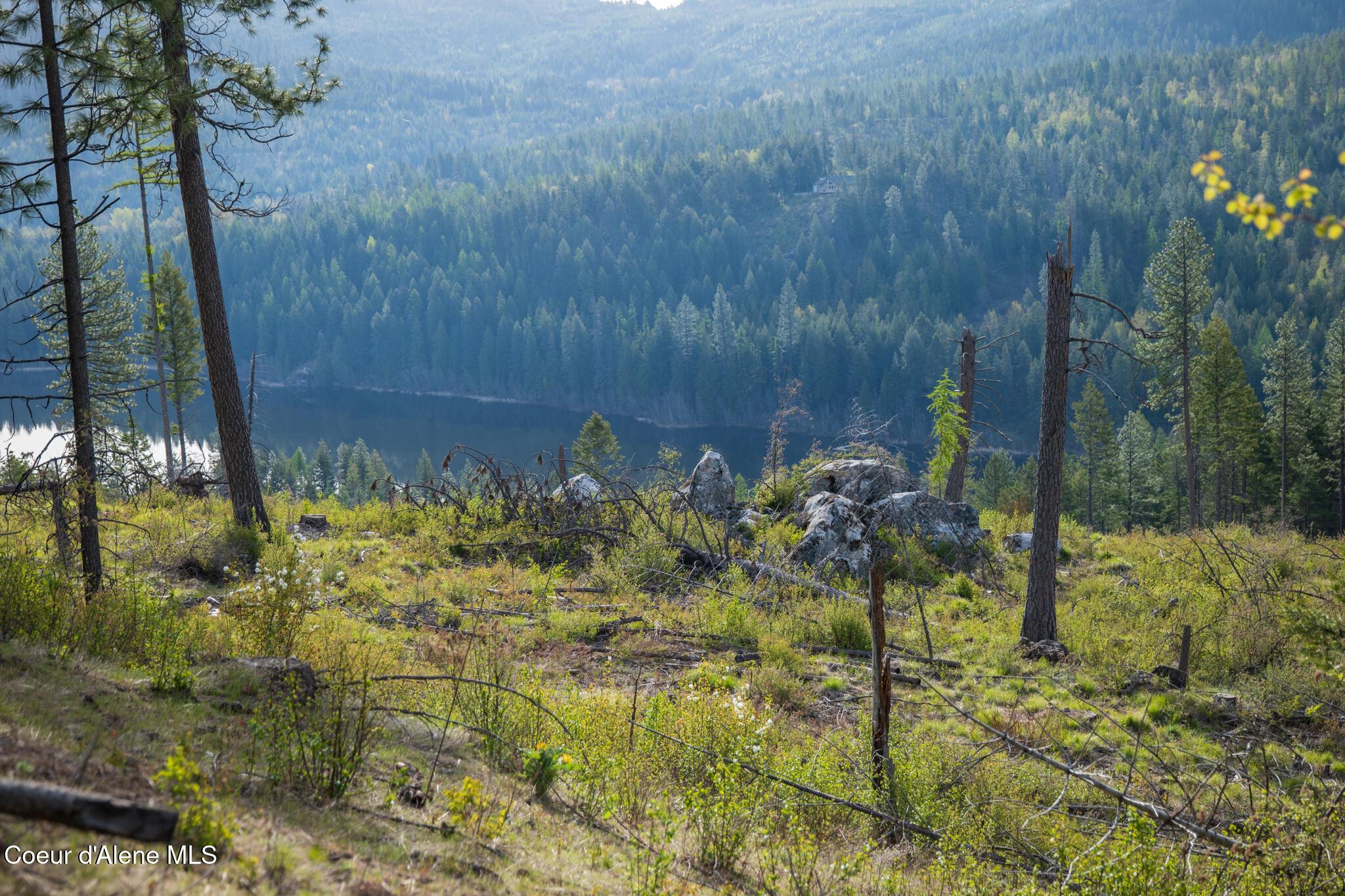 Image 1: NWLL Jewel Lake-03