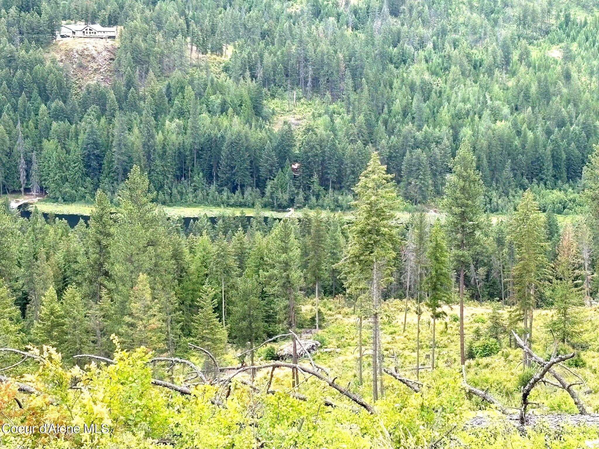 Image 4: IMG_0737