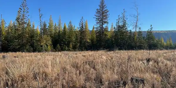Image 3: 2