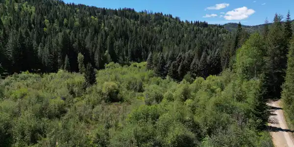 Image 3: Ariel Views