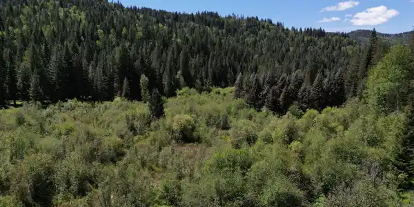 Image 4: Ariel Views