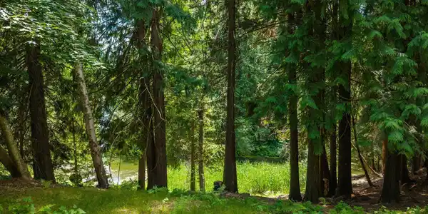 Lot 4 Hidden Harbor Lane