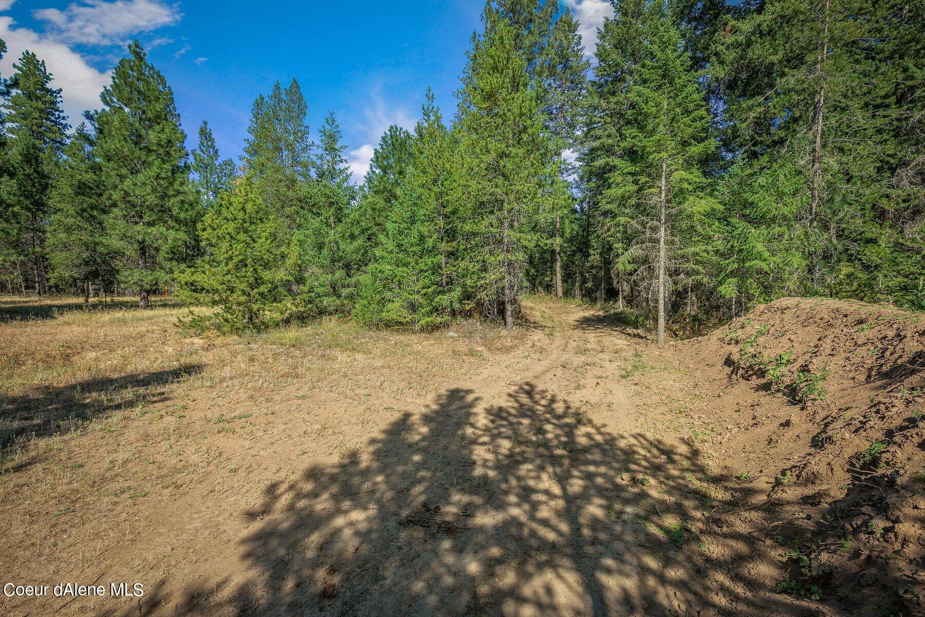 Image 3: Level