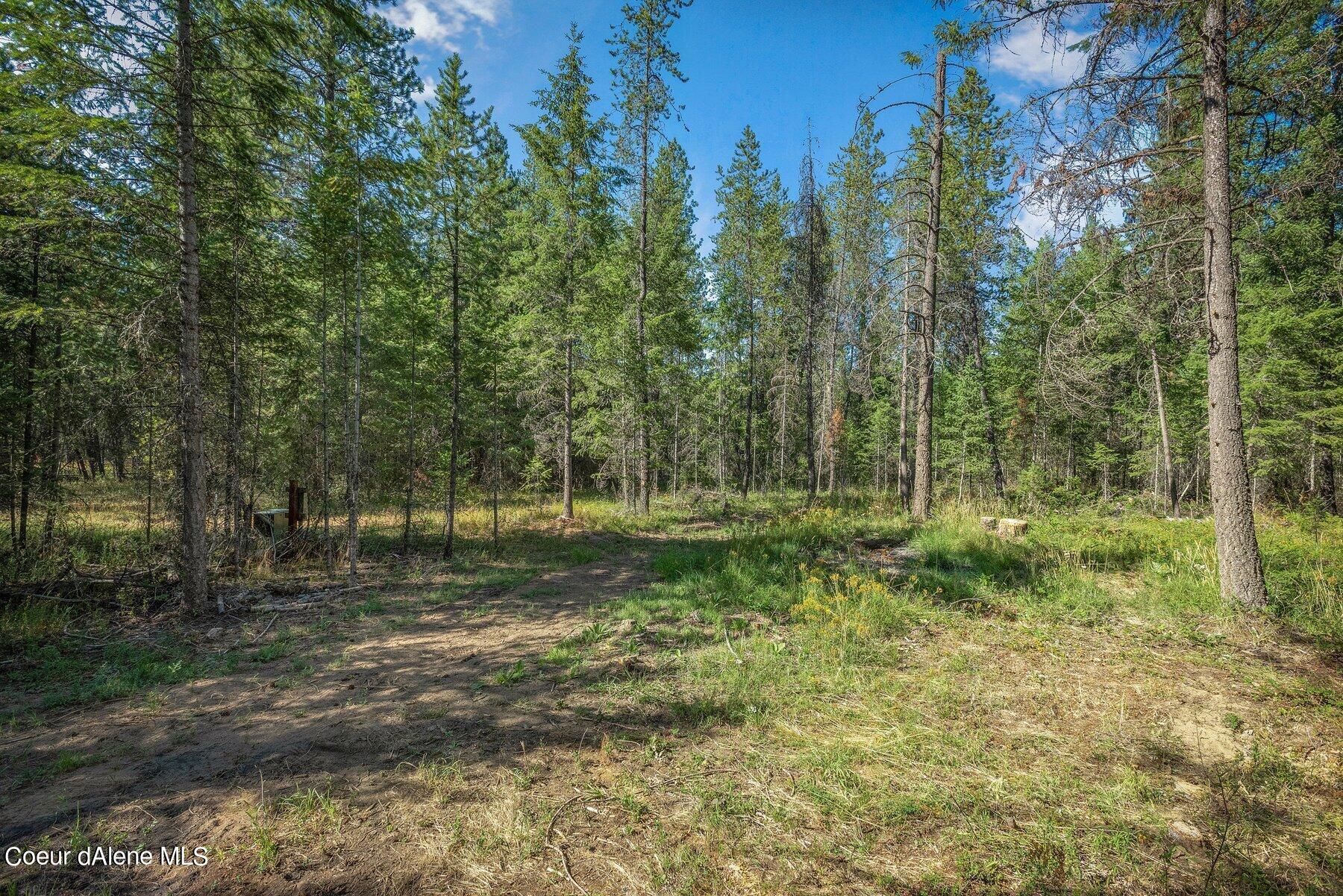 Image 4: Land