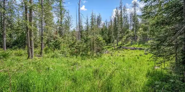 Image 3: 5_Oleander Drive