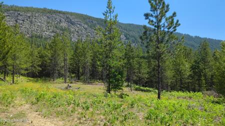 NNA Log Cabin Rd