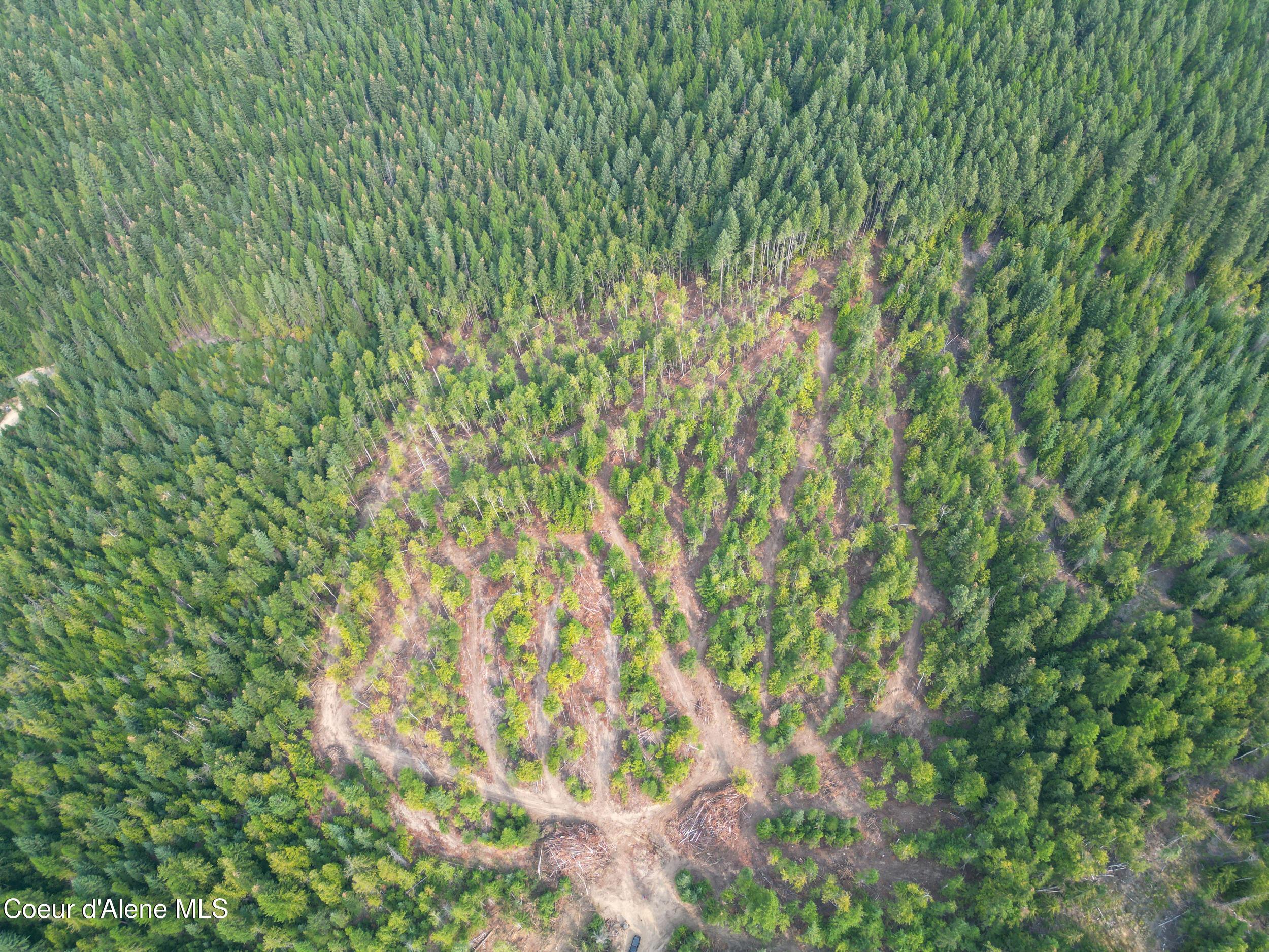 Image 2: dji_0015(1)