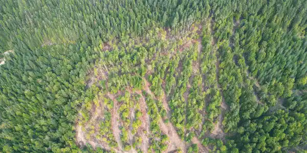 Image 2: dji_0015(1)