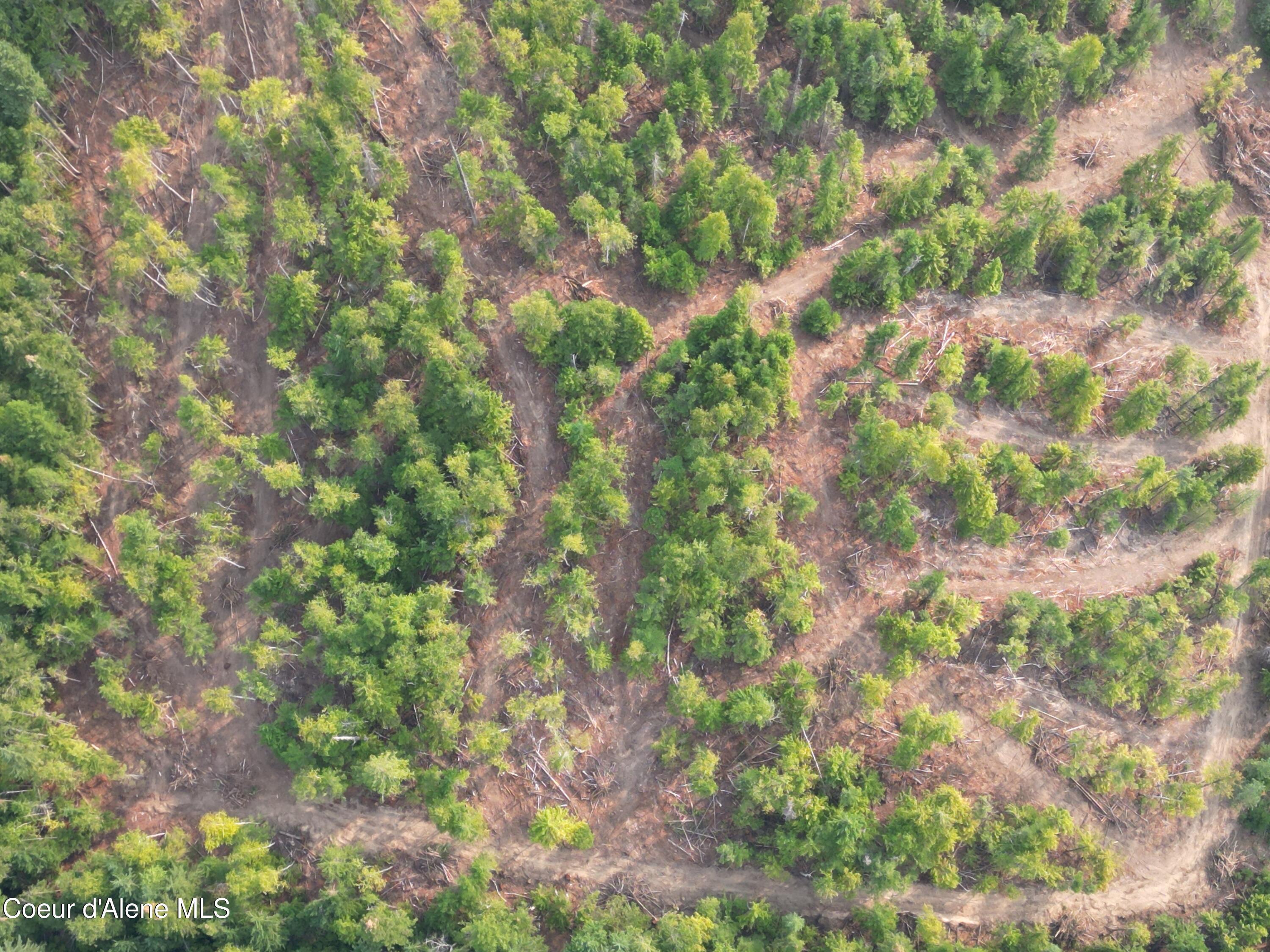Image 3: DJI_0019