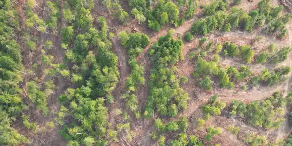 Image 3: DJI_0019