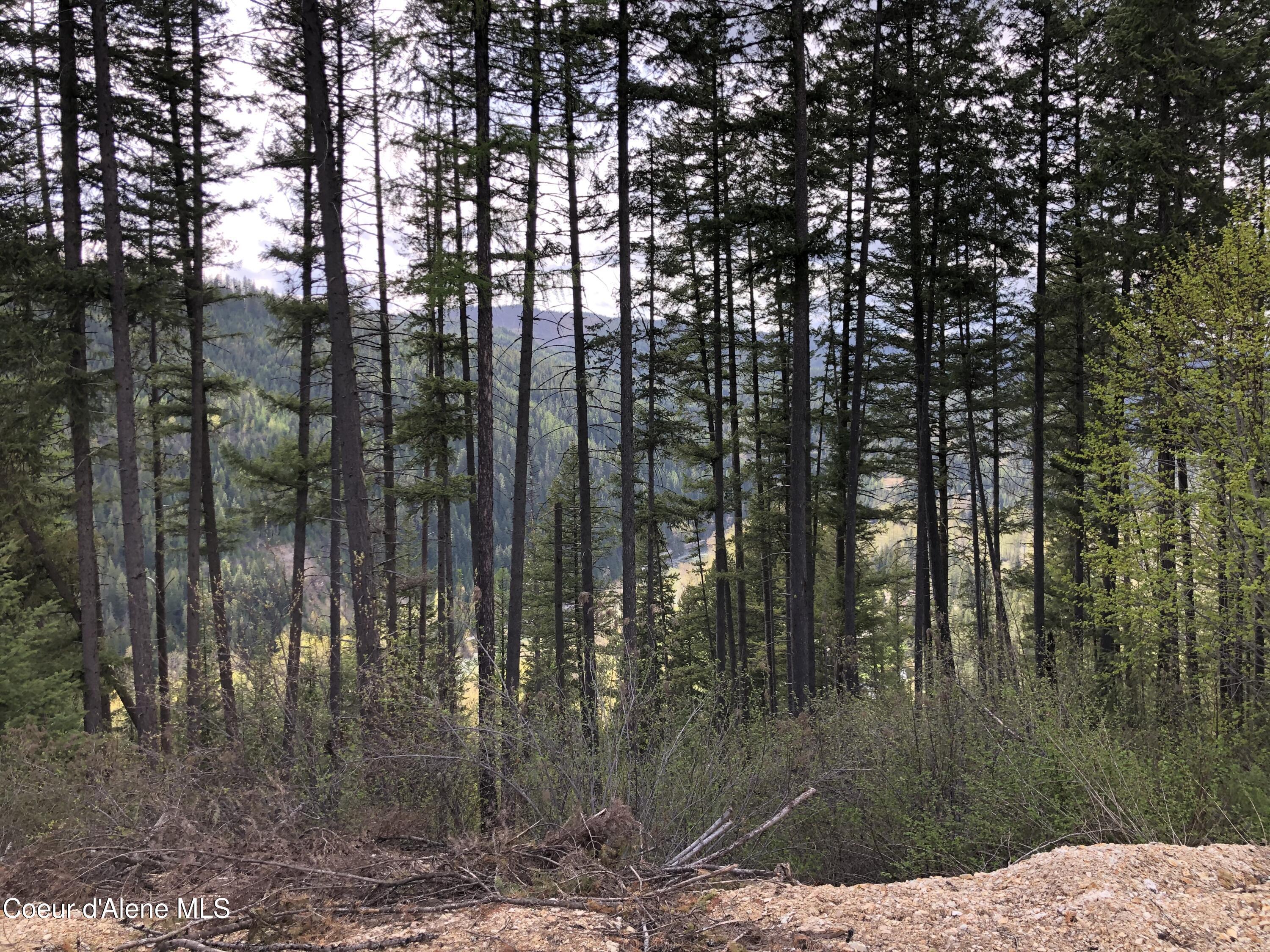 Image 4: IMG_6214 (1)