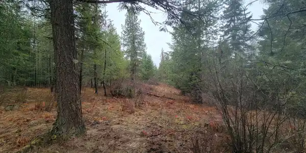 Image 4: 4