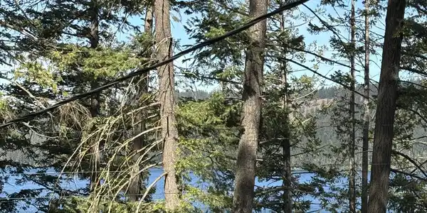 Image 3: LAKE VIEW