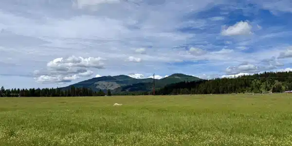 Image 2: Hard to beat mountain views.
