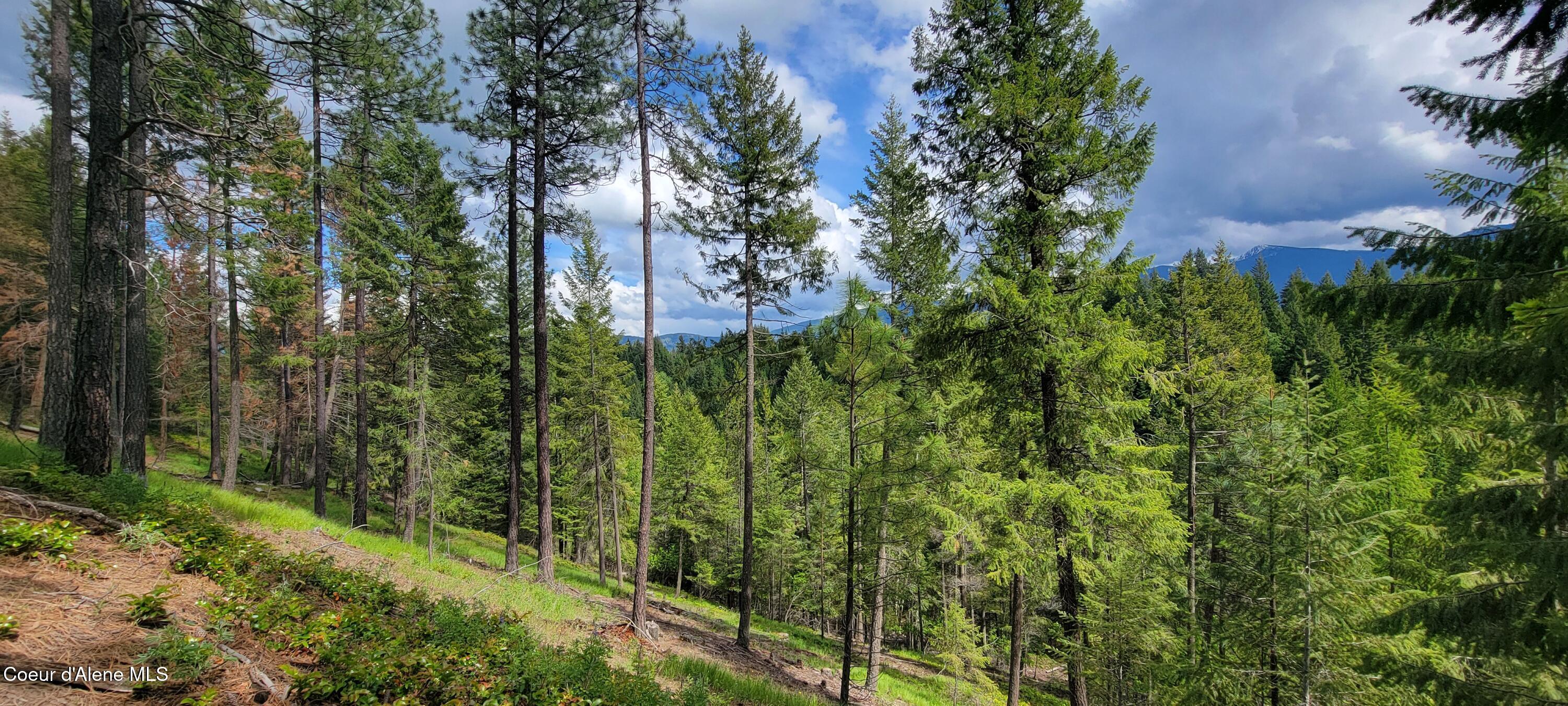 Image 2: Hillside