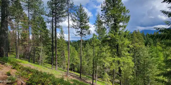 Image 2: Hillside