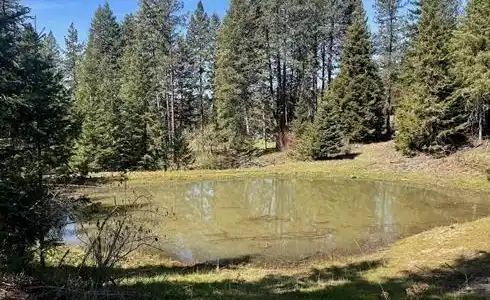 TBD Harris Ridge Rd