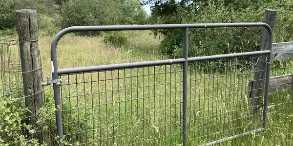 Image 3: fenced garden