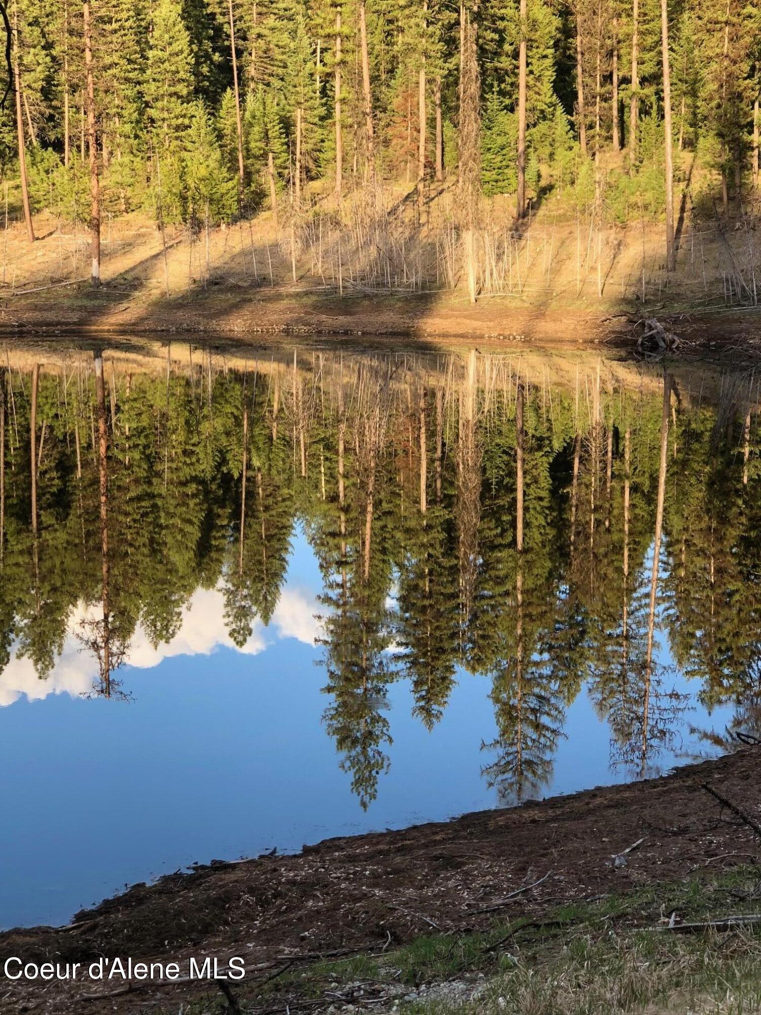 Image 2: 53396 Hwy 95 pic 2