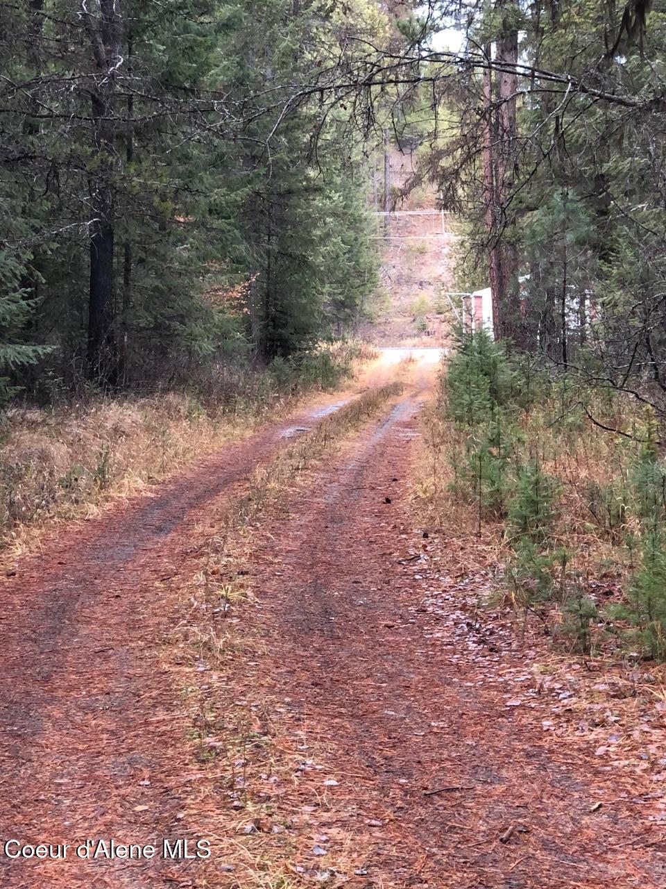 Image 3: 53396 Hwy 95 pic 1