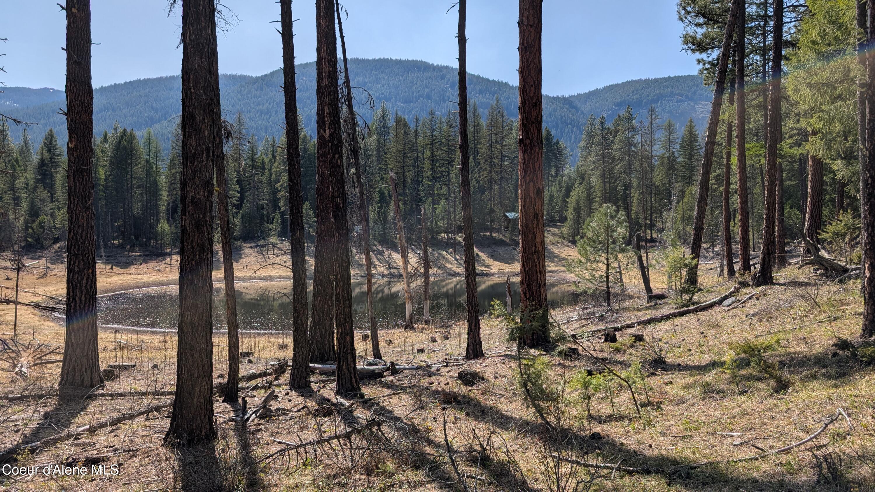 Image 4: 53396 Hwy 95 new pics 9