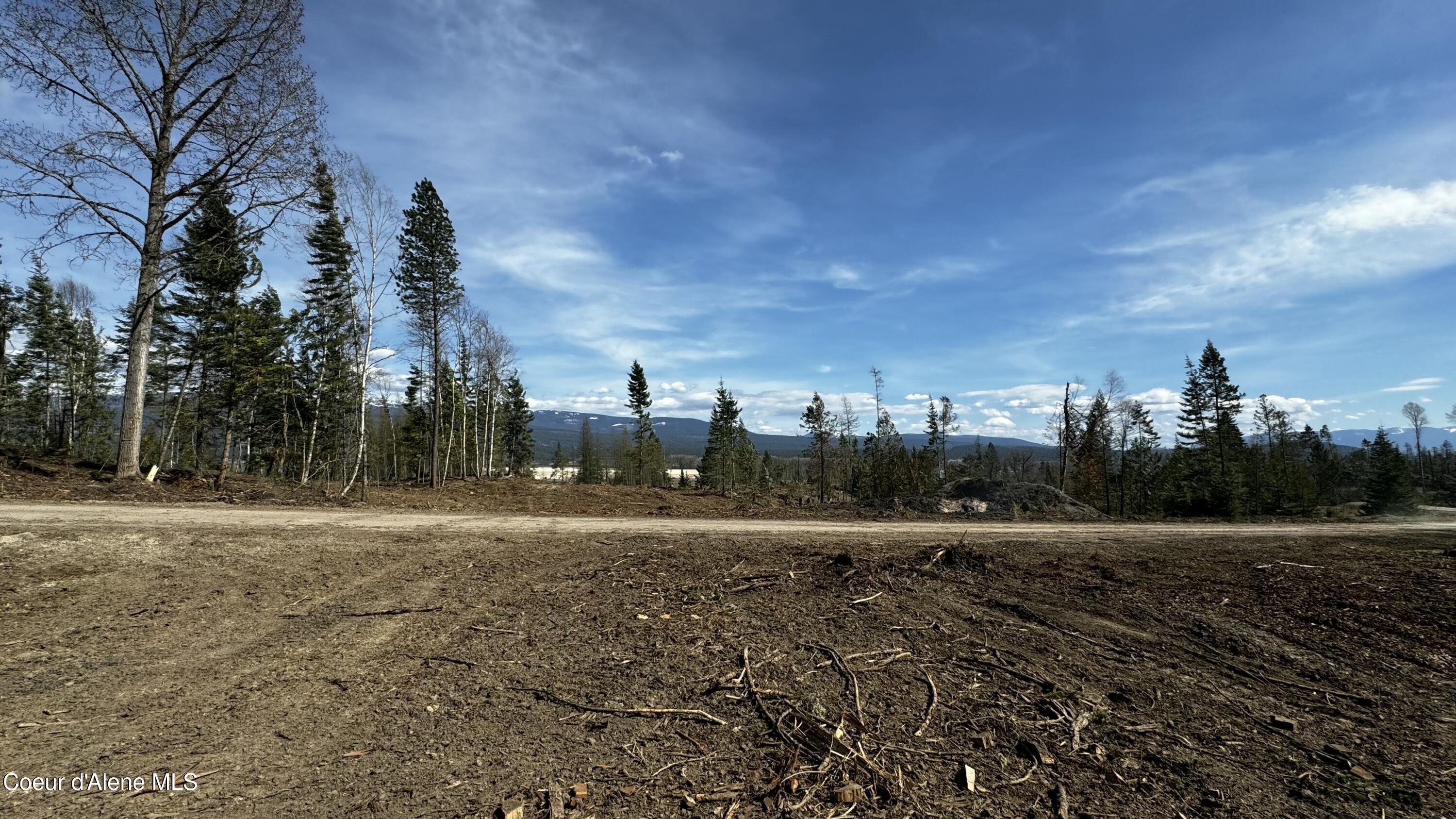 Image 4: IMG_5594(1)