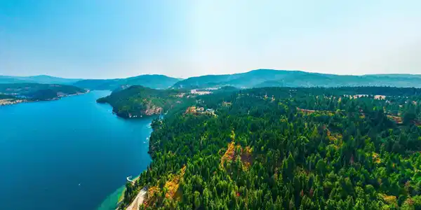 Image 3: DJI_20250911024739_0170_D