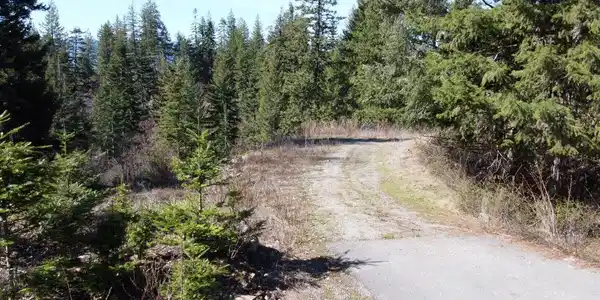 Image 4: E6 driveway