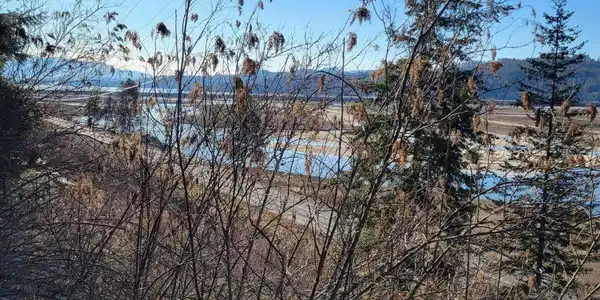 Image 4: 3