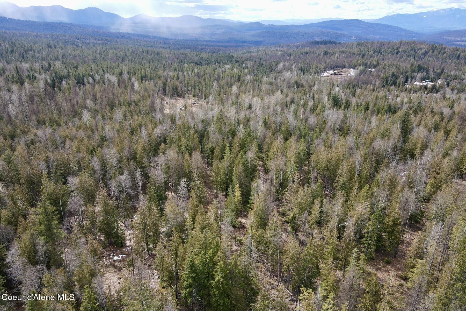 Image 1: 001_dji_fly_20260310_130350_615_1773
