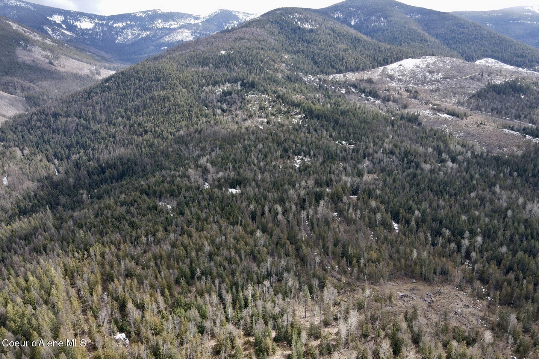 Image 2: 002_dji_fly_20260310_130912_623_1773
